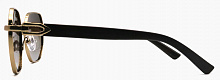 Polar Eagle 2784  C2