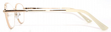 Готовые очки RALPH RA6038 C2 55-16-140