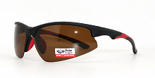 Polarized  8265 C2  73-18-124