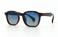 Polarized EC9827  C31  49-21-152