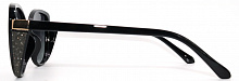 Polar Eagle 09371 C1
