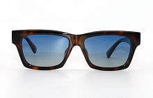 Polarized LeKe  17032  С31  53-18-141