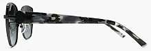 Polar Eagle 2795  C3