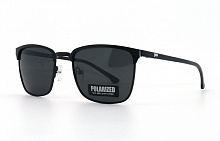Polarized 348 С1 54-17-130