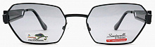 Polarized Santarelli  2761  С1