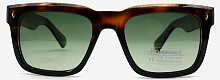 Polarized 19302  C4