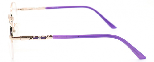 Оправа PrettyGirl 9010 C4 50-19-140 фото 3 Оправа PrettyGirl 9010 C4 50-19-140 фото 3