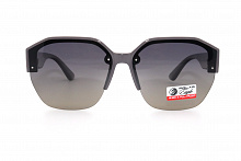 Polarized 09595 C6 61-17-143