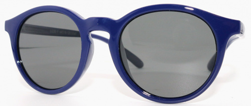 Polarized 8289 С41 Polarized 8289 С41