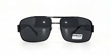 Polarized BABILON 0918 C1  65-18-135