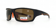 Polarized  8258 C2  63-16-120
