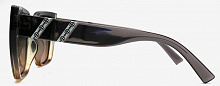 Polarized 02051  C4