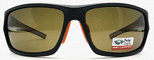 Polarized  8258 C2  63-16-120