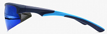 Polarized  8265 C4  65-18-120