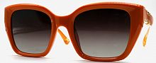 Polarized 5202 C3