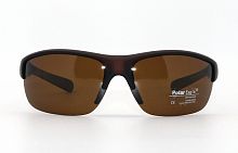 Polarized  Polar Eagle 8204 С2 73-17-120