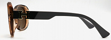 Polarized 5211 C3
