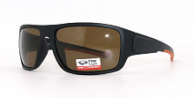 Polarized  8269 C2  62-19-127