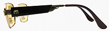 Polarized Santarelli  2761  С2