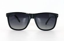 Polarized EC18041   C05  55-19-135