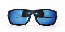 Polarized  8258 C4  63-16-120