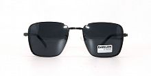 Polarized BABILON 0693 C4 58-16-142