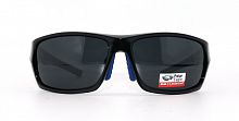 Polarized  8258 C1  63-16-120