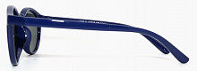 Polarized  8289 С41