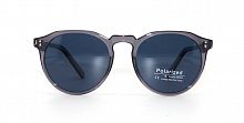 Polarized 19803  C4  52-21-148