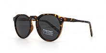 Polarized 19803  C3  52-21-148