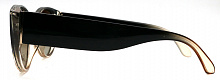 Polarized LeKe 1879  С6