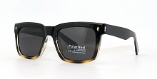 Polarized 19802  C3 51-20-149