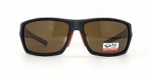 Polarized  8258 C2  63-16-120