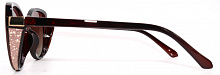Polar Eagle 09371 C2
