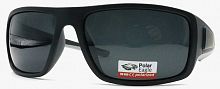 Polarized  8269 C3  62-19-127