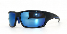 Polarized  8258 C4  63-16-120