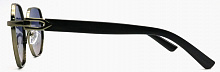 Polar Eagle 2784  C5