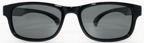 Polarized 8151 С11 фото 2