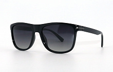 Polarized EC18041   C05  55-19-135