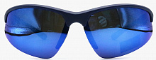 Polarized  8265 C4  65-18-120