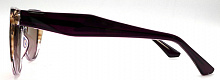 Polarized  RIANOVA  7007  C3