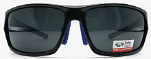 Polarized  8258 C1  63-16-120