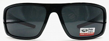 Polarized  8269 C1  62-19-127