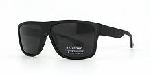 Polarized 02864 С3 61-15-136 матовый 