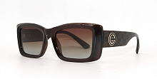 Polarized 5206 C2 53-19-150