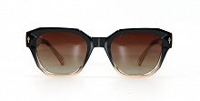 Polarized  RIANOVA  9004 C2 51-22-143