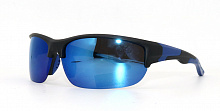 Polarized  8271 C4  65-18-120