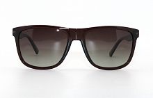 Polarized EC18041   C08  55-19-135