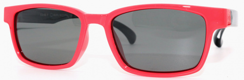 Polarized 8156 С40 Polarized 8156 С40