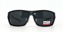 Polarized  8258 C3  63-16-120